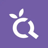 QCInspec Inspector